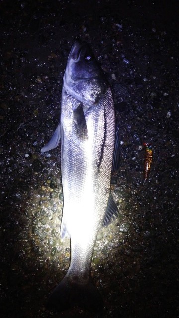 7b3cd74d-3914-417e-8417-40903f37e187