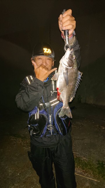 7ebc1139-4726-4c3f-ae11-5202af803db4