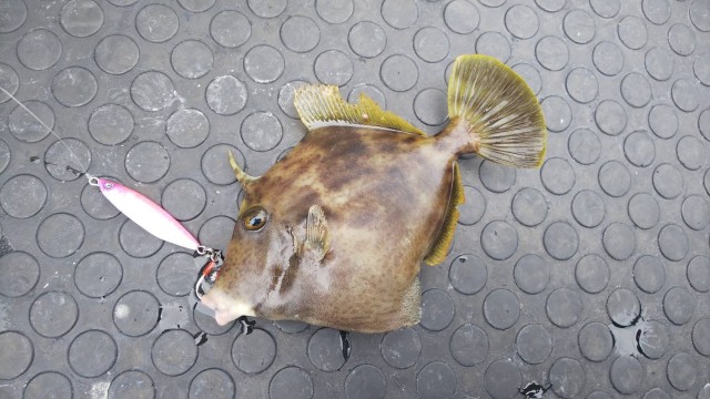 808ed9bc-707e-4439-b190-fb027112beed