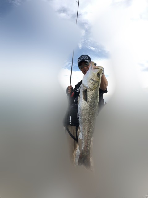 8c054717-82e9-4bb0-8858-7d38a835f97f