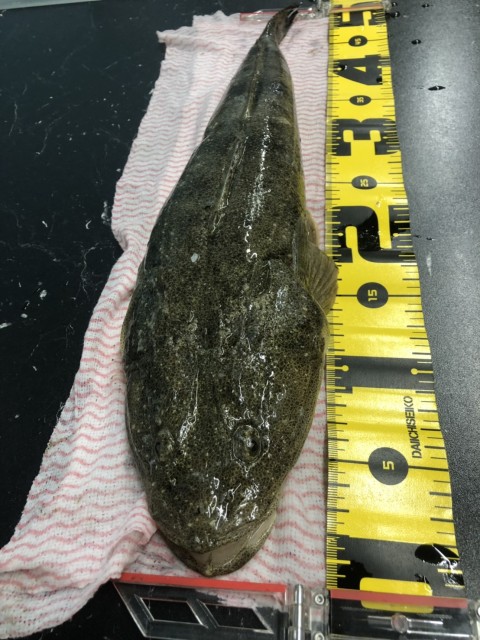 962582c6-5a4c-4e32-955b-89bb2b262594