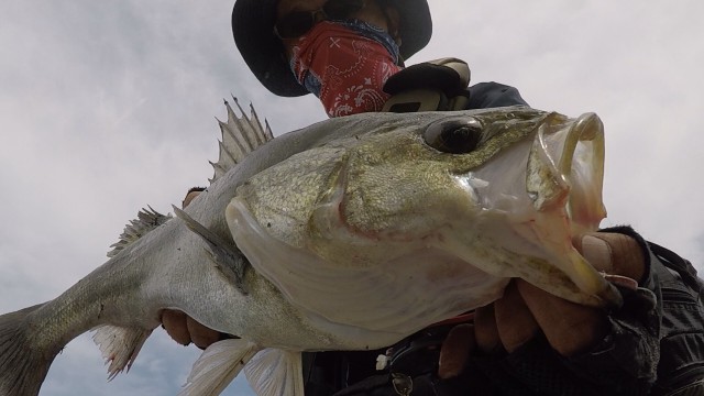 96e58707-548d-4498-9d87-b34a4cd683e7