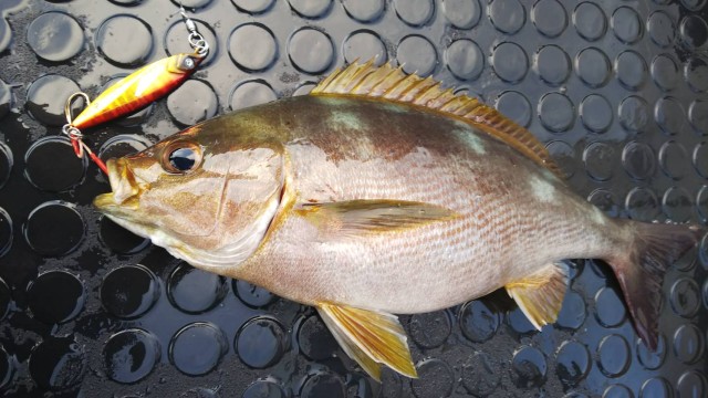 976ba439-e206-4149-84bf-08c992d4605a