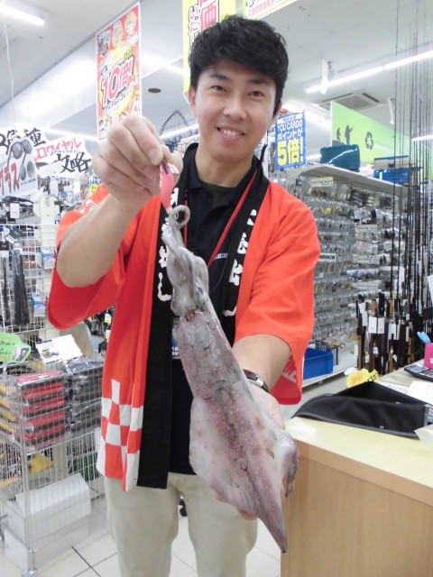 霞ウール埠頭魚種多彩！！