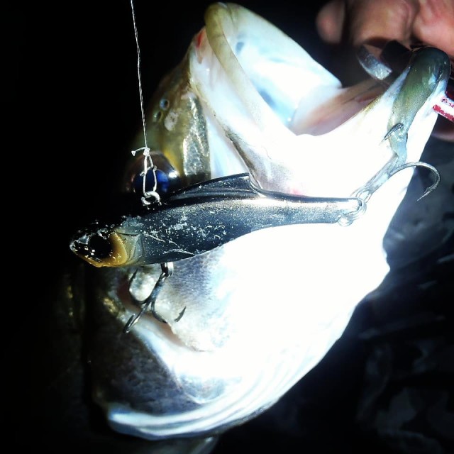 IMG_20190604_143952_923