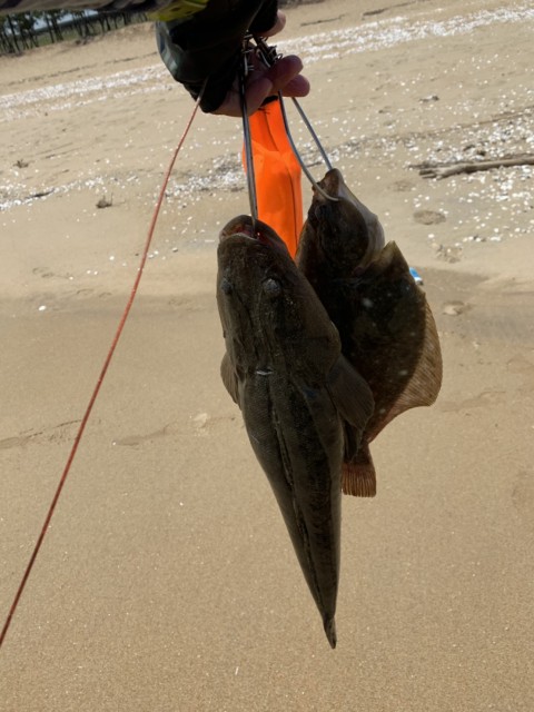 a9a821b8-08c6-4d14-8ac5-e74abca2c136