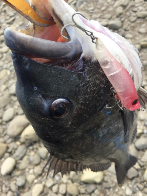 adfaf513-f95f-4ed5-83d4-7c6aa185bf8a