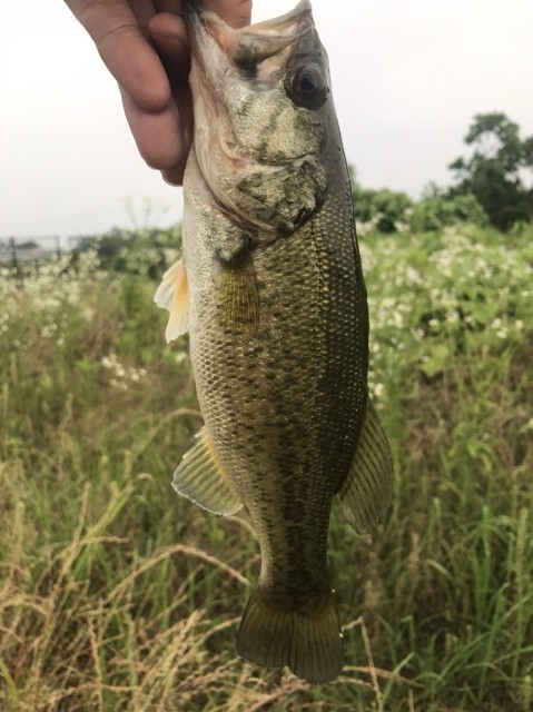 bbcc0a30-6247-4af3-a99d-28241127155d