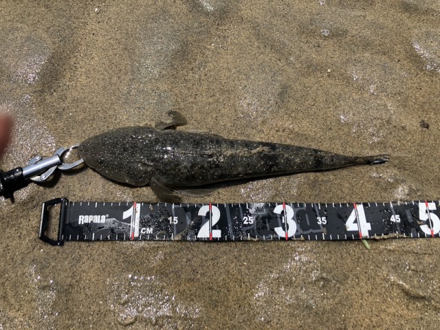 c7c257b4-a23d-4836-b887-6395517af916