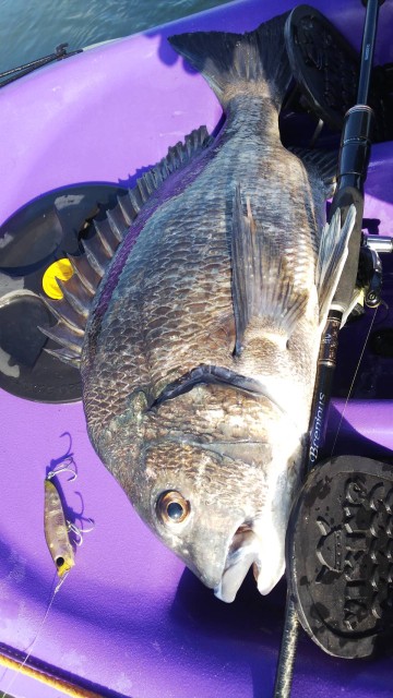 cfcbfe4f-12f8-4242-bca3-880be7713a33