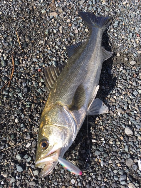 !cid_16b5fba5bac207cf5f01