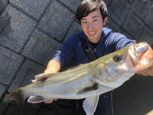 !cid_16b5fba8d30e602a7ed2