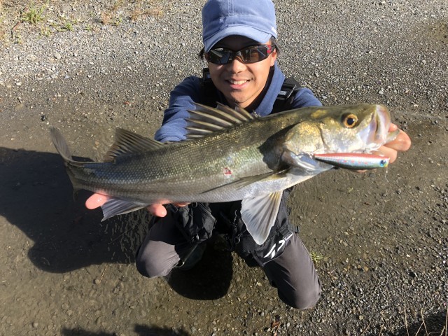 !cid_16b5fd7b3249b5882ec1