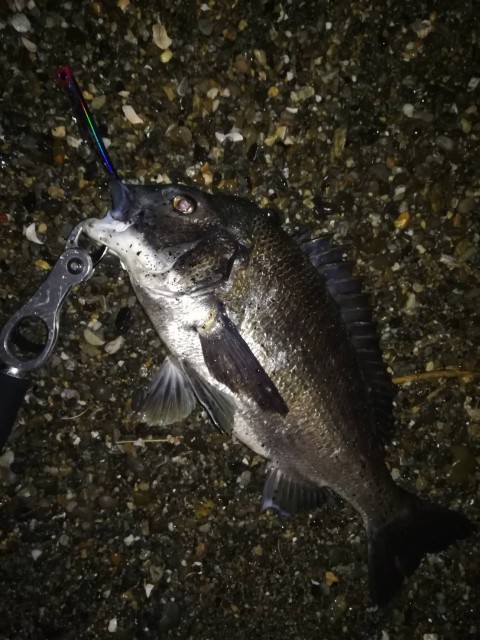 d0dc847f-28df-4070-ad6f-bbcc83c588c3