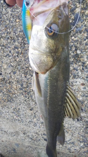 db168868-3287-4e43-a887-2dadea54d070