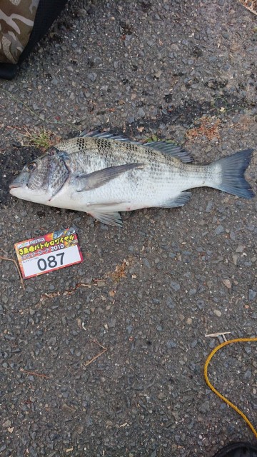 dd831082-9492-4f99-8c53-67f87ff8c6f9