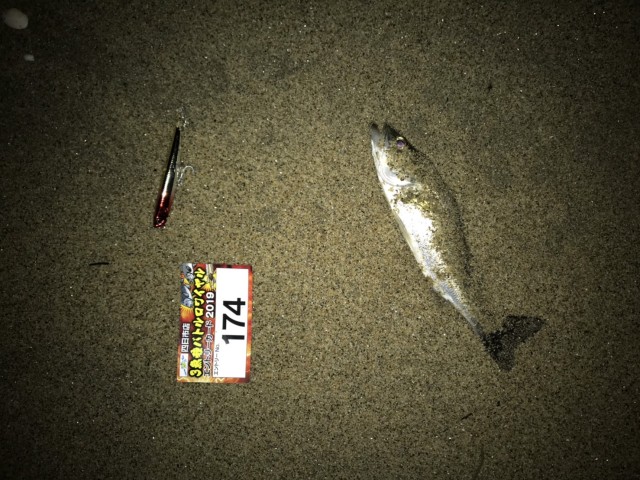 e122869f-86e0-462e-9617-a338858dabcf