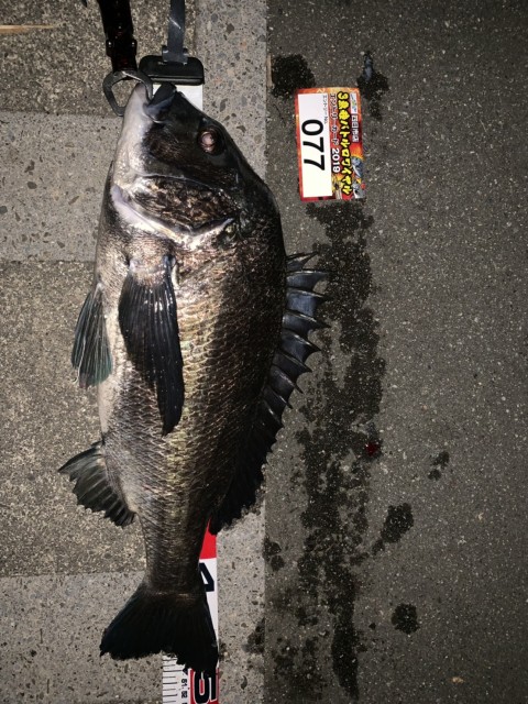 f0b3b9b9-7c9d-4bd8-8759-03d220dbe99b