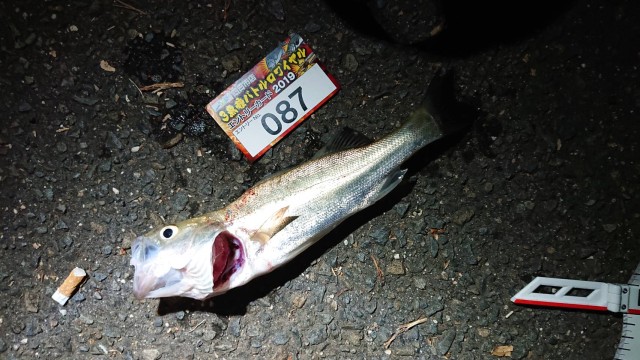 f18cb2c3-9de6-4915-ad47-791a41f297a7