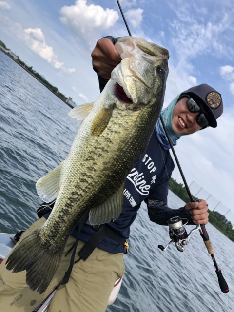 f6b8c579-96fb-4c34-8bf4-ea6d25ad7e97