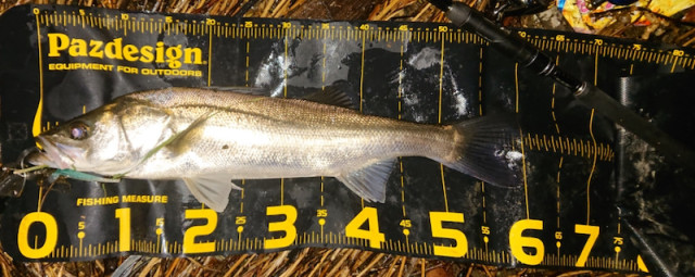 o1080043014421035270