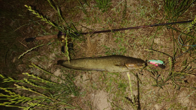 o1080060714422977182