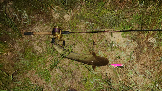 o1080060714422977216