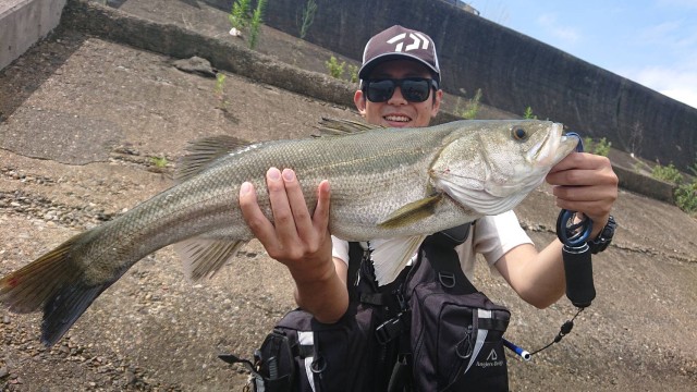 0419ffab-2fc8-48a9-bac1-b01f15c12648