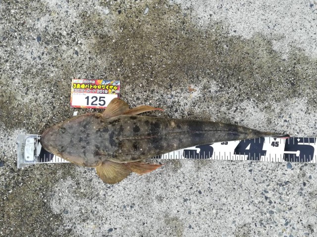 0611941a-8235-4aad-930f-094a9d7c043d