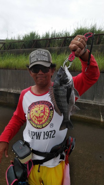 08851f9c-791c-45bb-8103-2c97c580a355