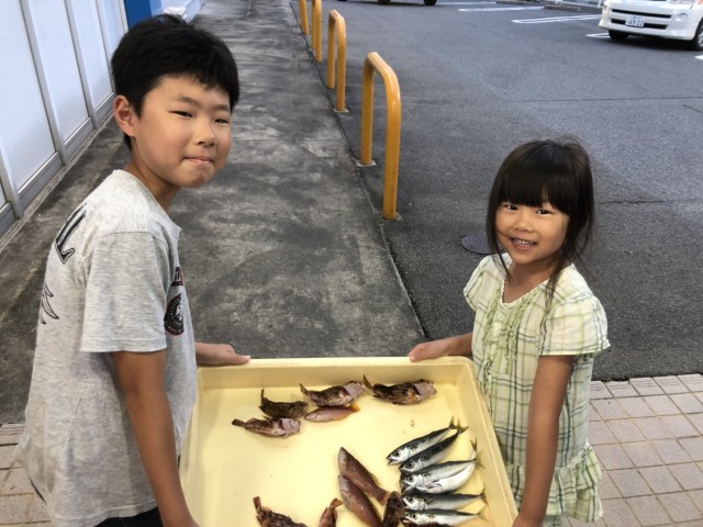 1a9108f2-c01b-4b94-8d82-b8fbc81c43f7