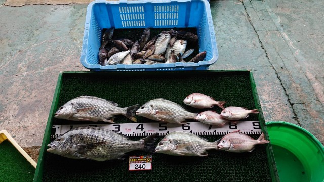 1ed8ee85-337b-4d56-bf20-fc394bd5de5a