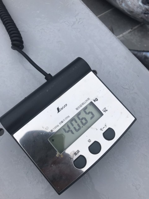 22d51475-d616-4c15-8a54-e5d305726df0