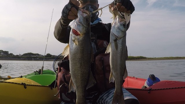 269f87c2-7c1d-4b2f-85ea-137e6d2c9301