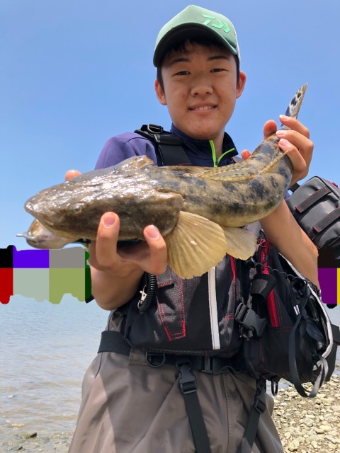 28ae690f-41ea-45d2-95c8-bba579616d5e