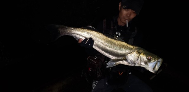 2f2f5411-b5e8-414c-ae5f-02fd3b686121