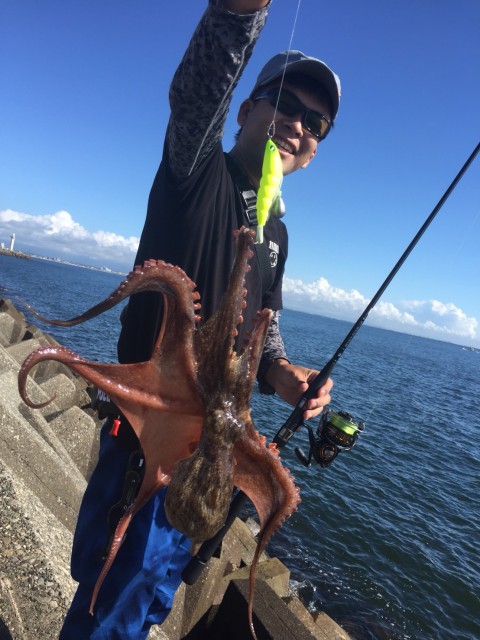 31d91ced-6628-4173-9120-583a57234120