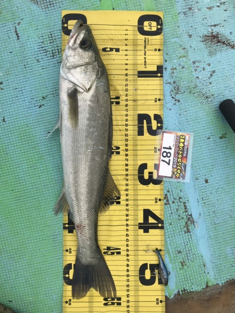 331e162a-faa0-4cf6-a27a-720b47bb2efa