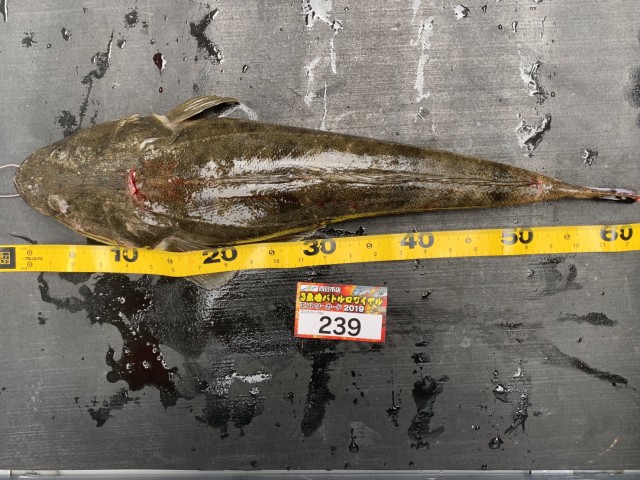 3456e486-28c9-485b-9778-016d94ed5419