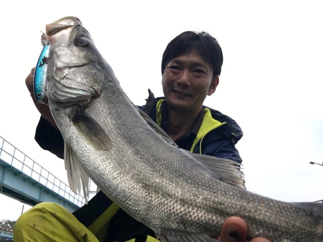 3d78da30-1b93-47a5-a4ab-024a7ab07b0c