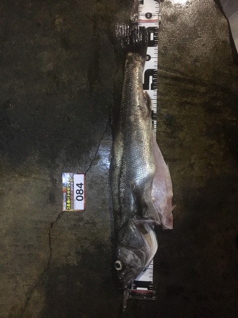 63d5bd65-4cc6-47f5-a83e-1f63917c11a5