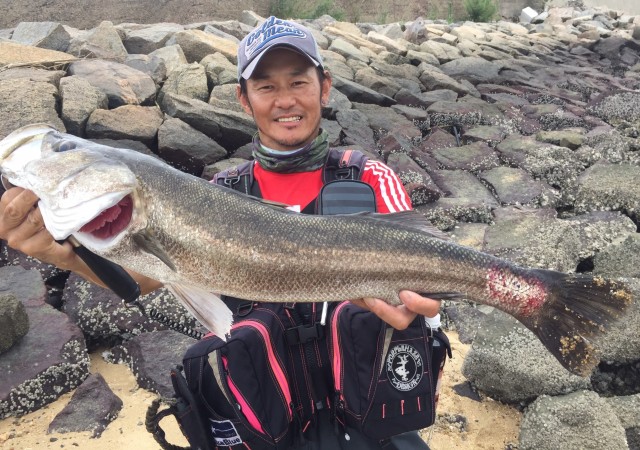 6b1c8504-2741-4fac-b818-1e4a6badde4c