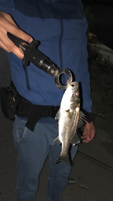 6b414b09-909c-4e6d-9f5a-d91bc597a75d