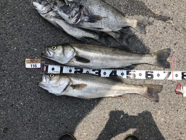 78f054f6-9b67-4360-ae2d-e85c872a7d32