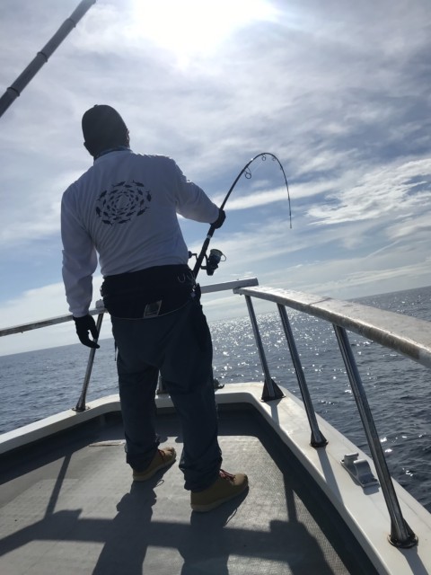 7c5c0094-bbb4-4fd3-92b0-4154543fedef