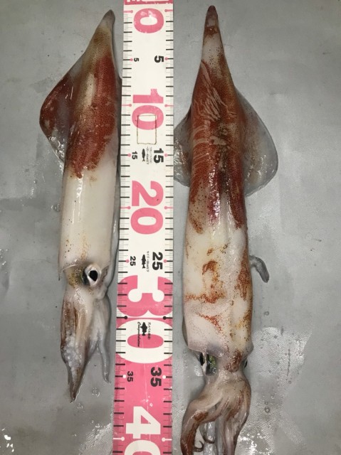 8b1b98d3-6ca9-4bdc-a8b5-53860fe27db7