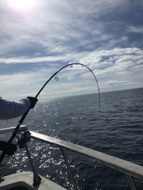 8d5b561a-91df-4326-bbdd-d6bcac10ecdd