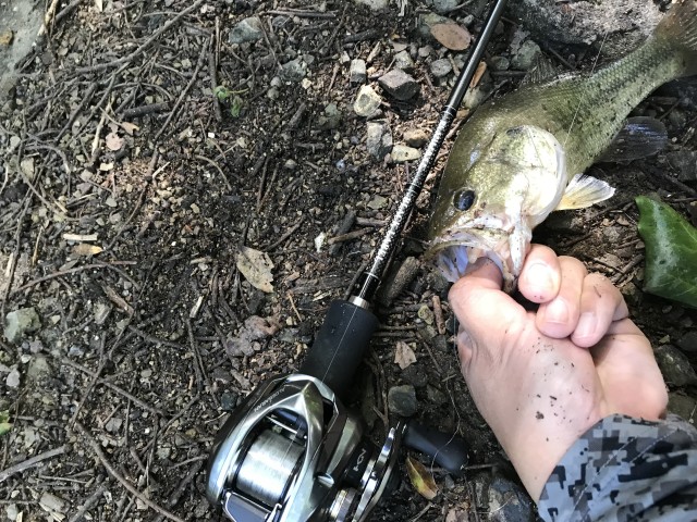 DF2728AC-9CF9-4032-8BFA-D01732CD9F58