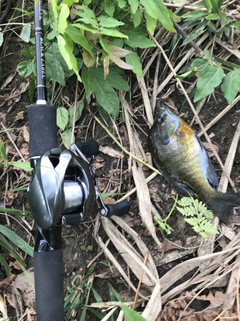 F162D0D7-247F-4A6D-AAA2-5B08C108078C