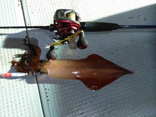 FB_IMG_1563603214953